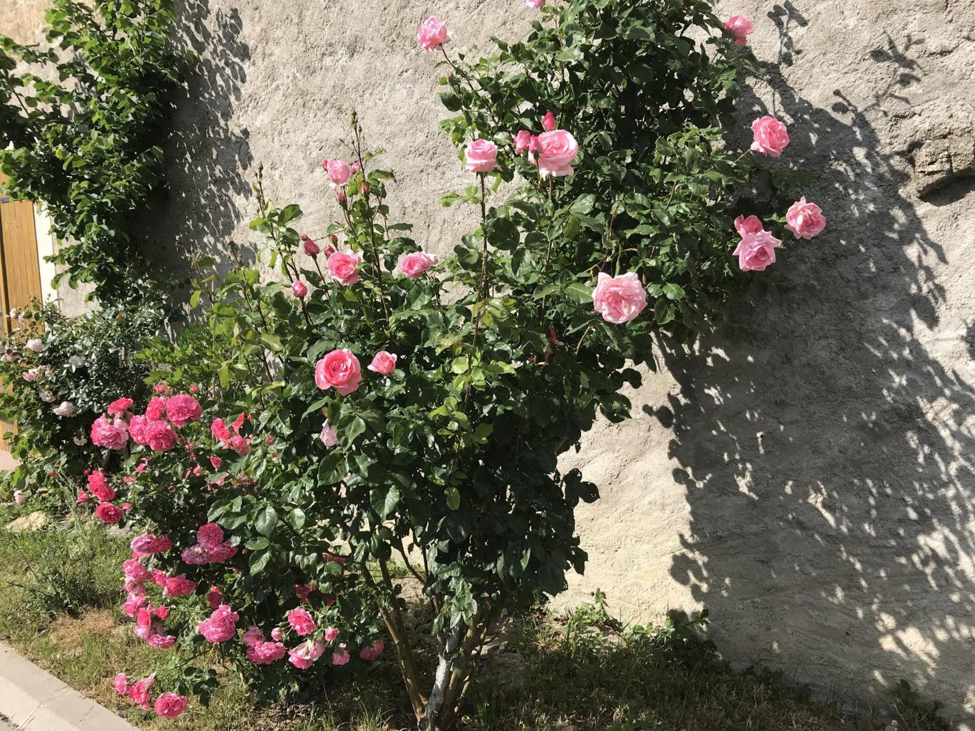 Gite Renove Avec Jardin, Proche Loisirs Et Commerces, A Une Heure De Nancy Et Metz - Fr-1-584-168 Autrepierre Kültér fotó